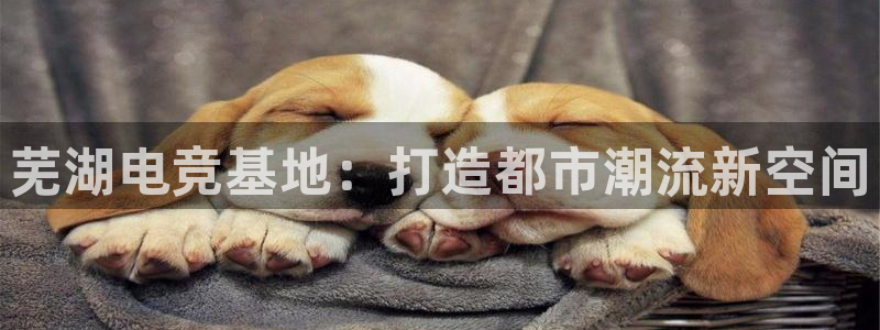ob电竞平台：芜湖电竞基地：打造都市潮流新空间