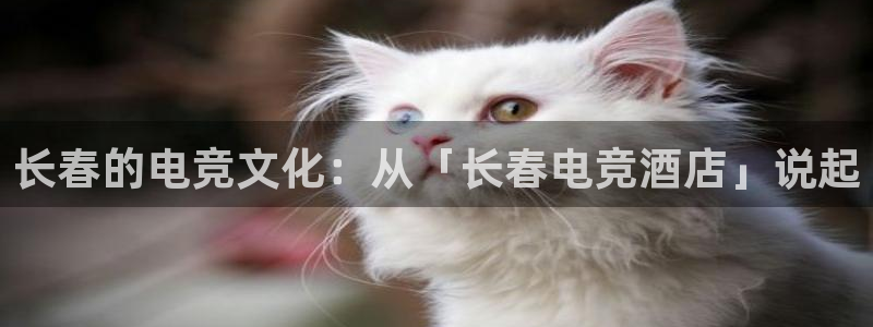 ob电竞官网：长春的电竞文化：从「长春电竞酒店」说起