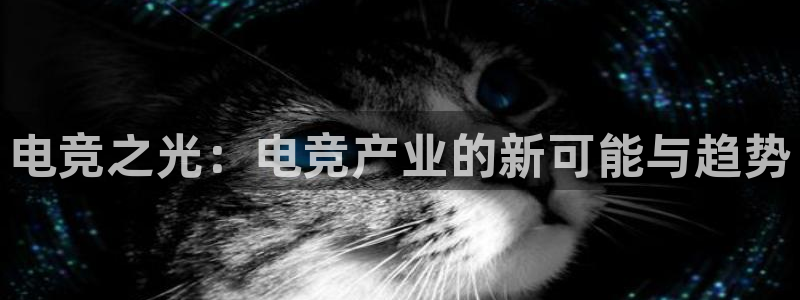 ob电竞平台：电竞之光：电竞产业的新可能与趋势