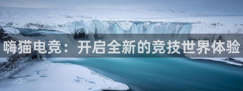 ob电竞官网入口：嗨猫电竞：开启全新的竞技世界体验