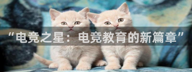 ob电竞官网：“电竞之星：电竞教育的新篇章”