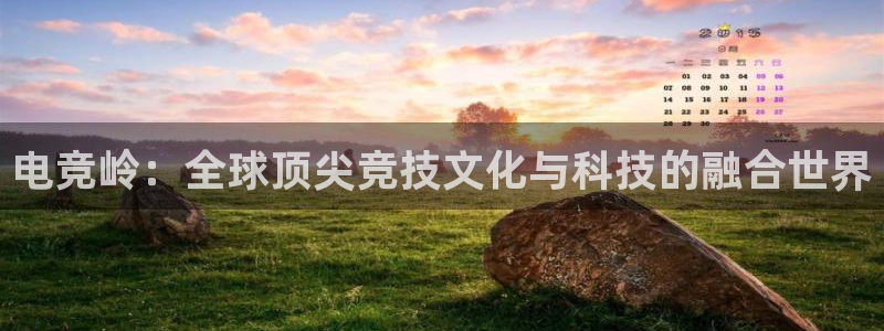 ob电竞网站：电竞岭：全球顶尖竞技文化与科技的融合世界