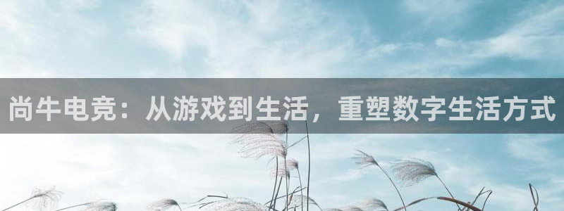 ob电竞网站：尚牛电竞：从游戏到生活，重塑数字生活方式