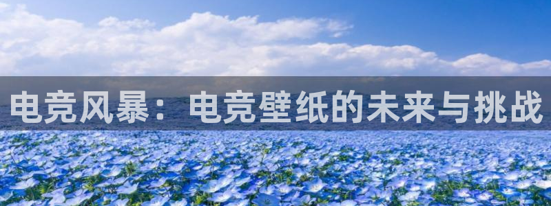 ob电竞官网入口：电竞风暴：电竞壁纸的未来与挑战