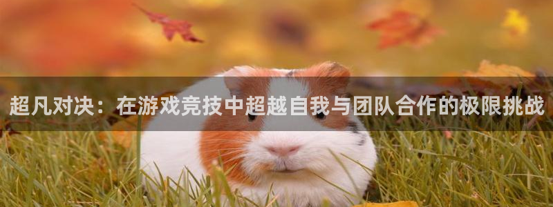 ob电竞官网：超凡对决：在游戏竞技中超越自我与团队合作的极限挑战