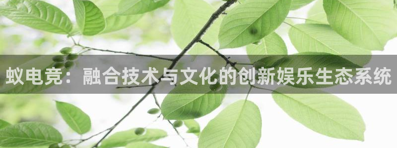 ob电竞平台：蚁电竞：融合技术与文化的创新娱乐生态系统