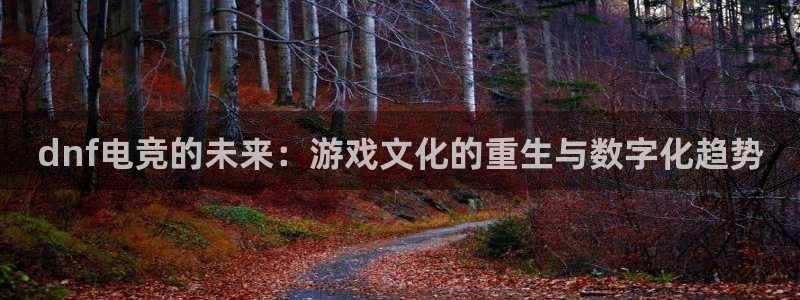 ob电竞平台：dnf电竞的未来：游戏文化的重生与数字化趋势