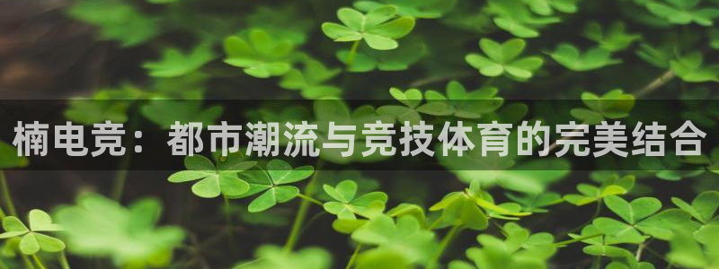 ob电竞网站：楠电竞：都市潮流与竞技体育的完美结合