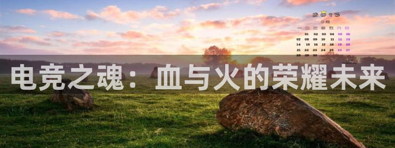 ob电竞官网：电竞之魂：血与火的荣耀未来