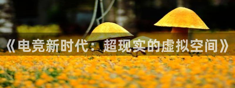 ob电竞俱乐部：《电竞新时代：超现实的虚拟空间》