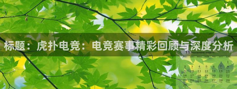 ob电竞网站：标题：虎扑电竞：电竞赛事精彩回顾与深度分析