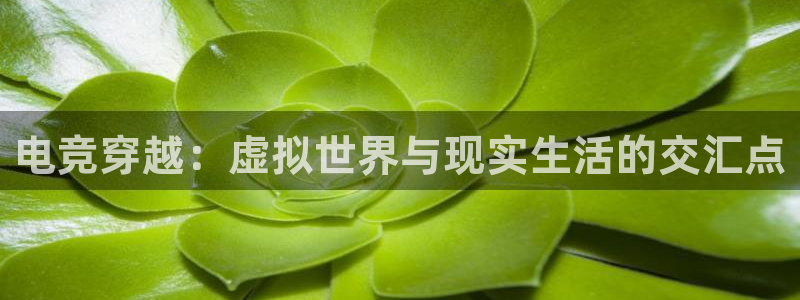 ob电竞网站：电竞穿越：虚拟世界与现实生活的交汇点